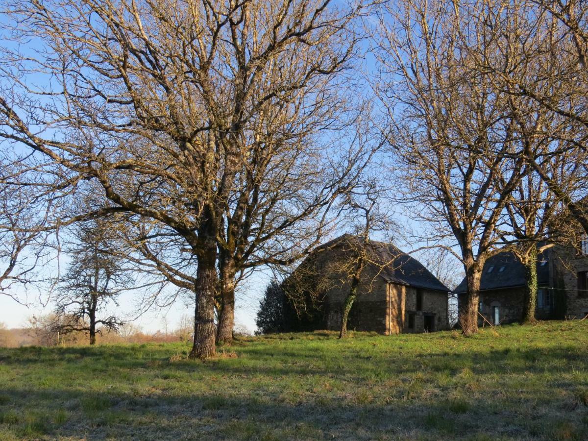 Domaine De La Clauzade Bed and Breakfast Saint-Germain-les-Vergnes Exteriör bild